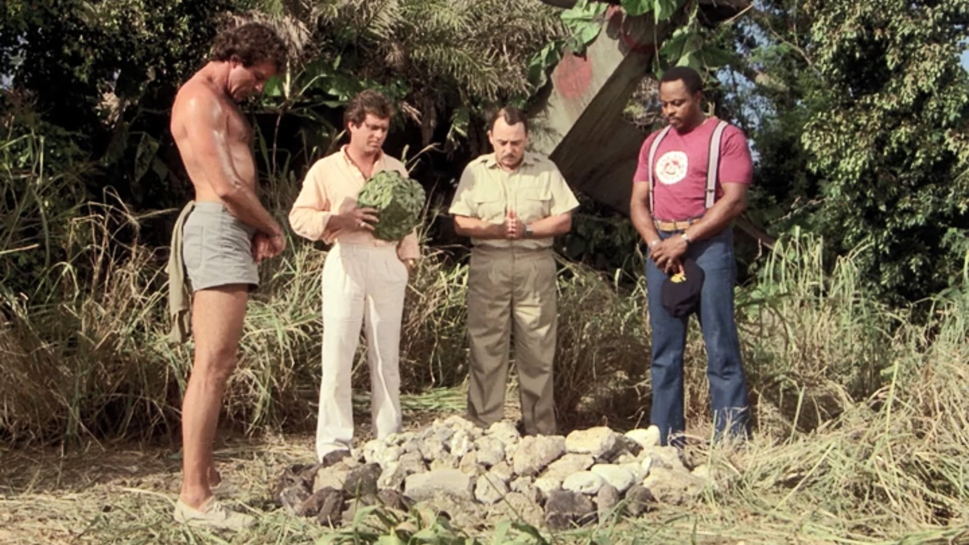 Magnum, P.I.
