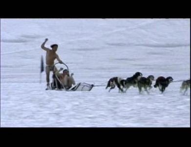 Wildboyz - Épisode 6