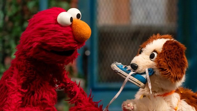 Sesame Street - Season 55 Episode 12 : The Wet Dog Wiggles