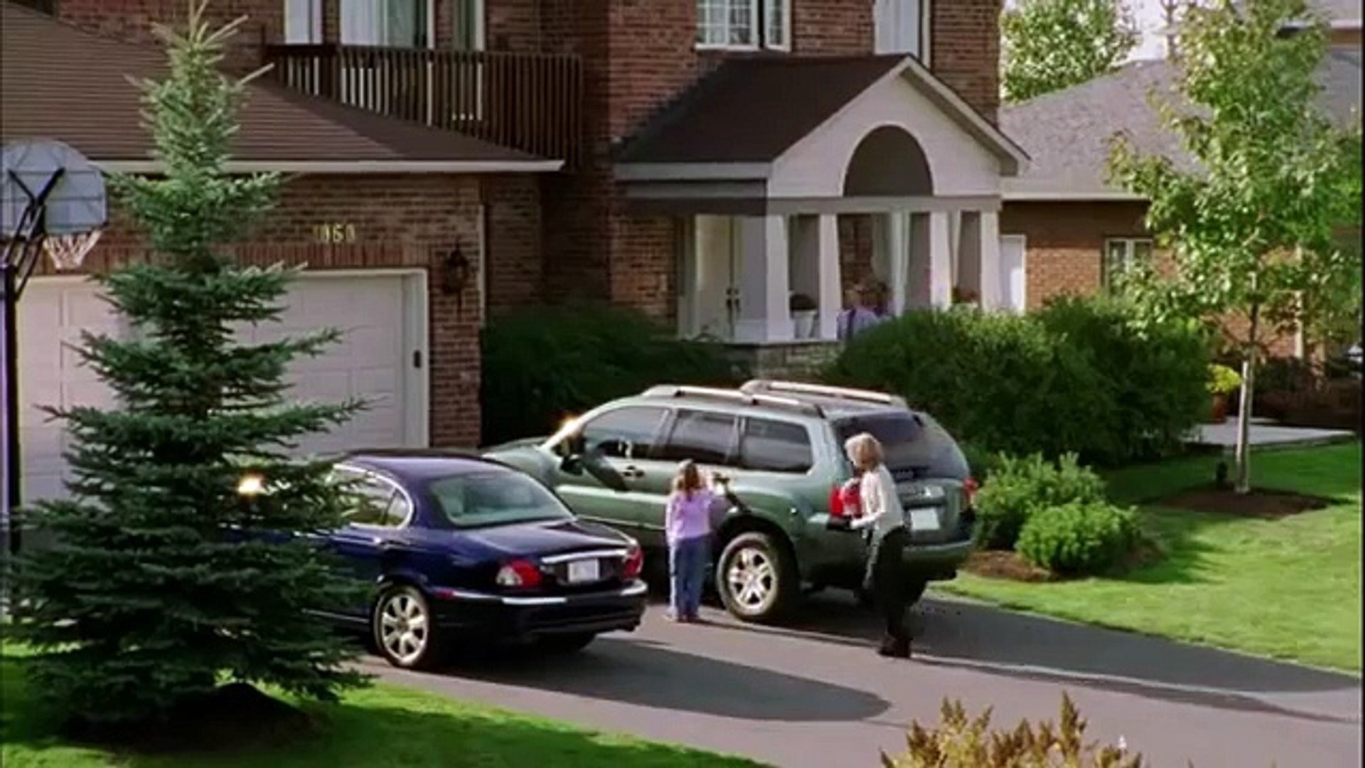 The Perfect Neighbor (2005)