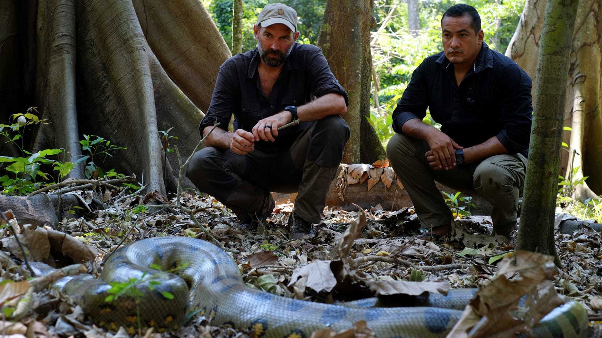 Expedition Mungo S01E05 backdrop