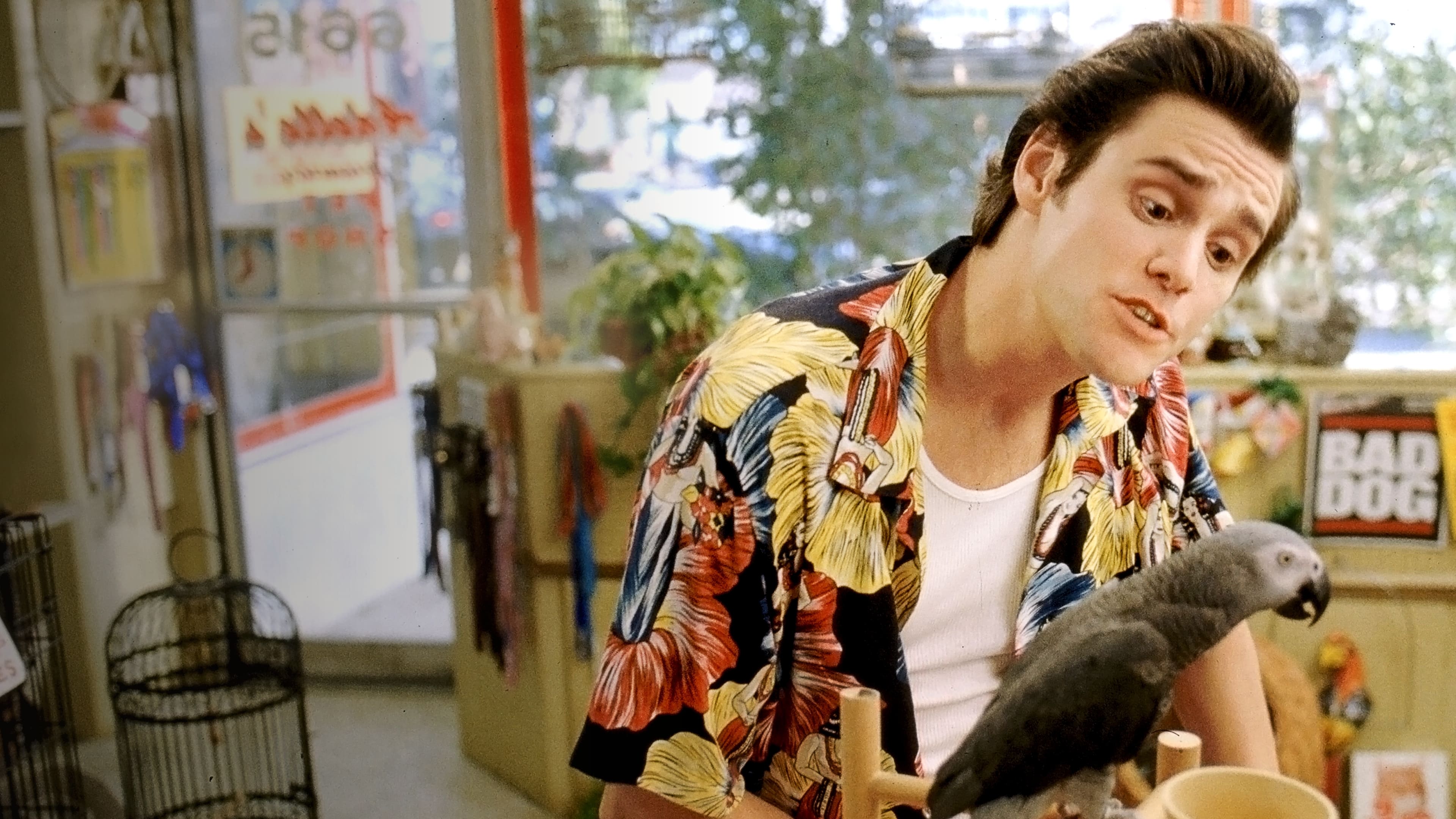 Ace Ventura: Zvierací detektív (1994)