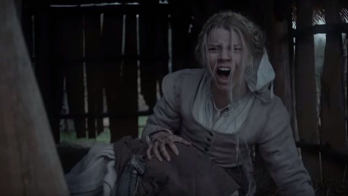 Image du film The Witch g1agjusli86m1dxe5s7flyieotljpg