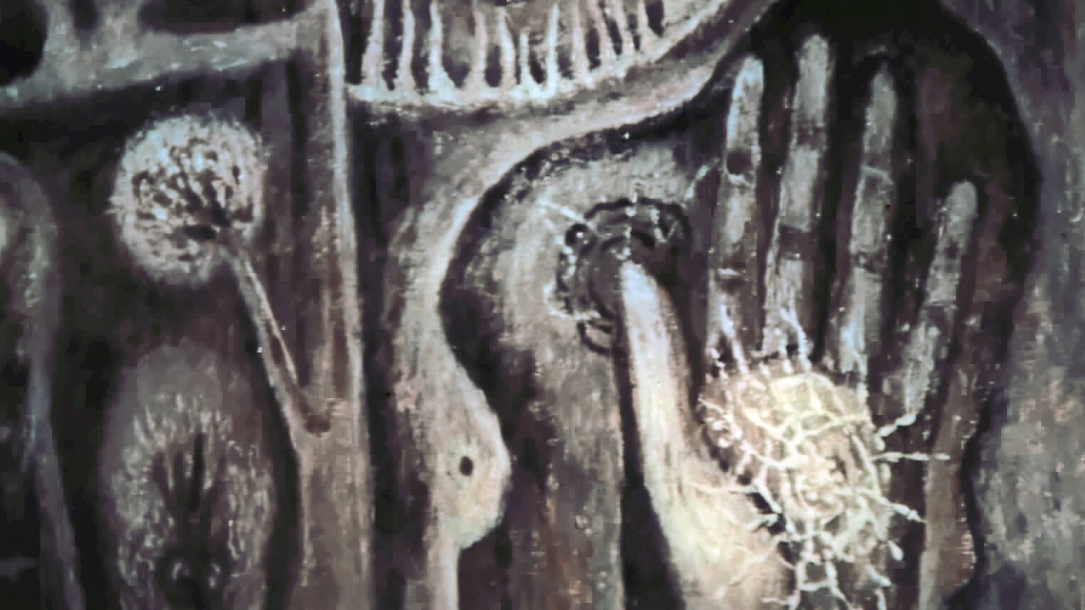Images 5