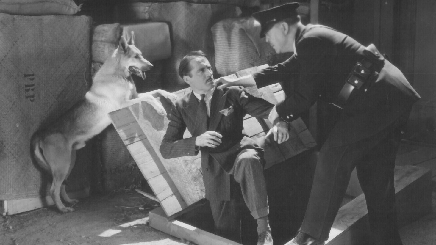 Captured in Chinatown (1935)
