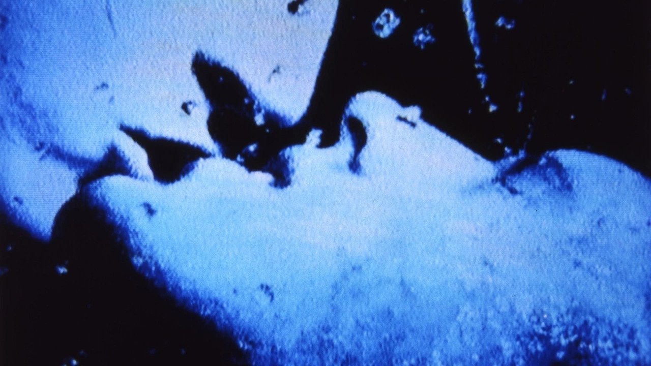 Self-Portrait in 23 Rounds: a Chapter in David Wojnarowicz’s Life, 1989–1991 (2019)