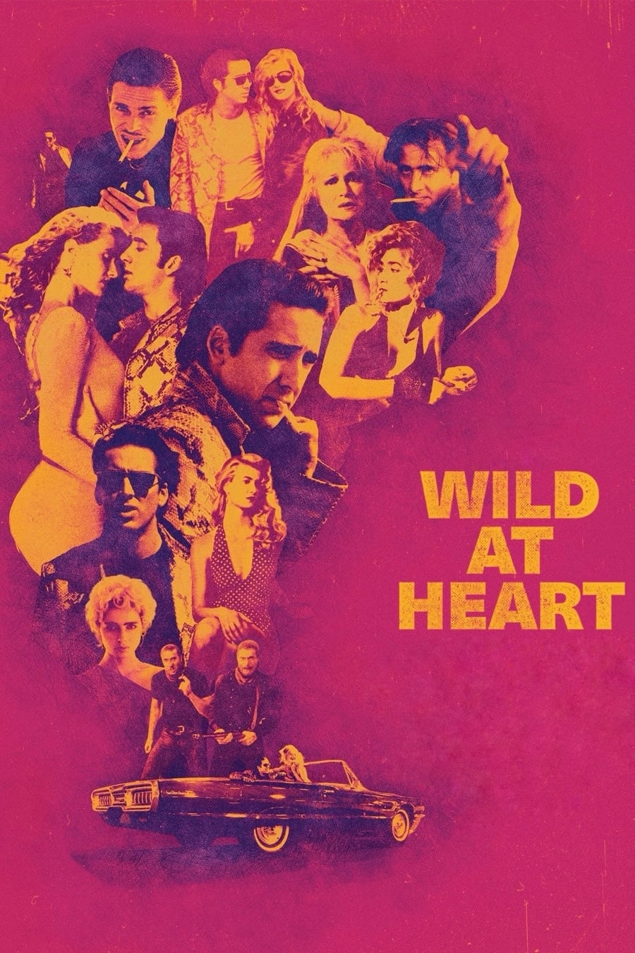 Wild at Heart