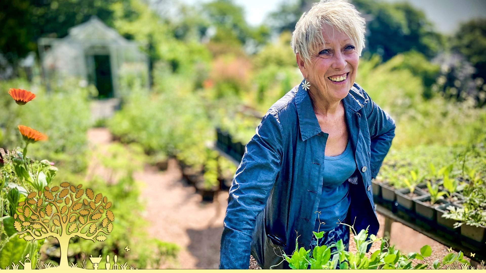 Gardeners' World 56x15