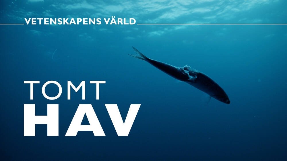 Vetenskapens värld
