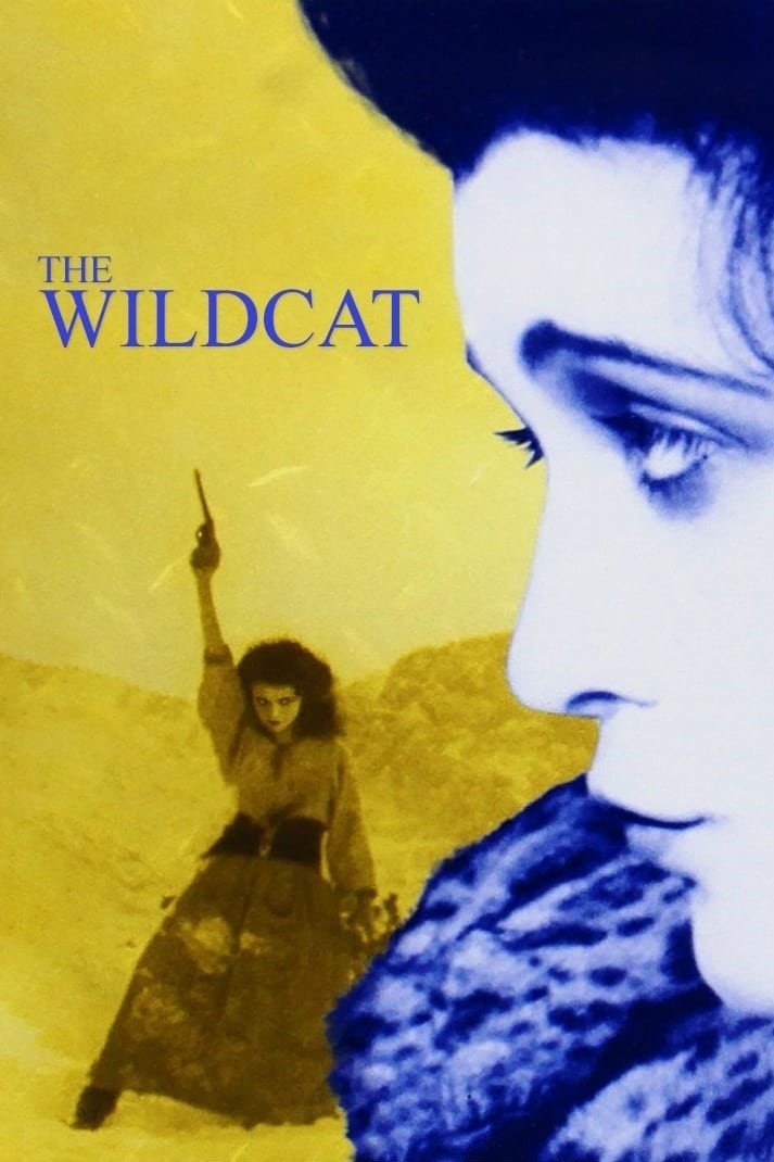 The Wildcat
