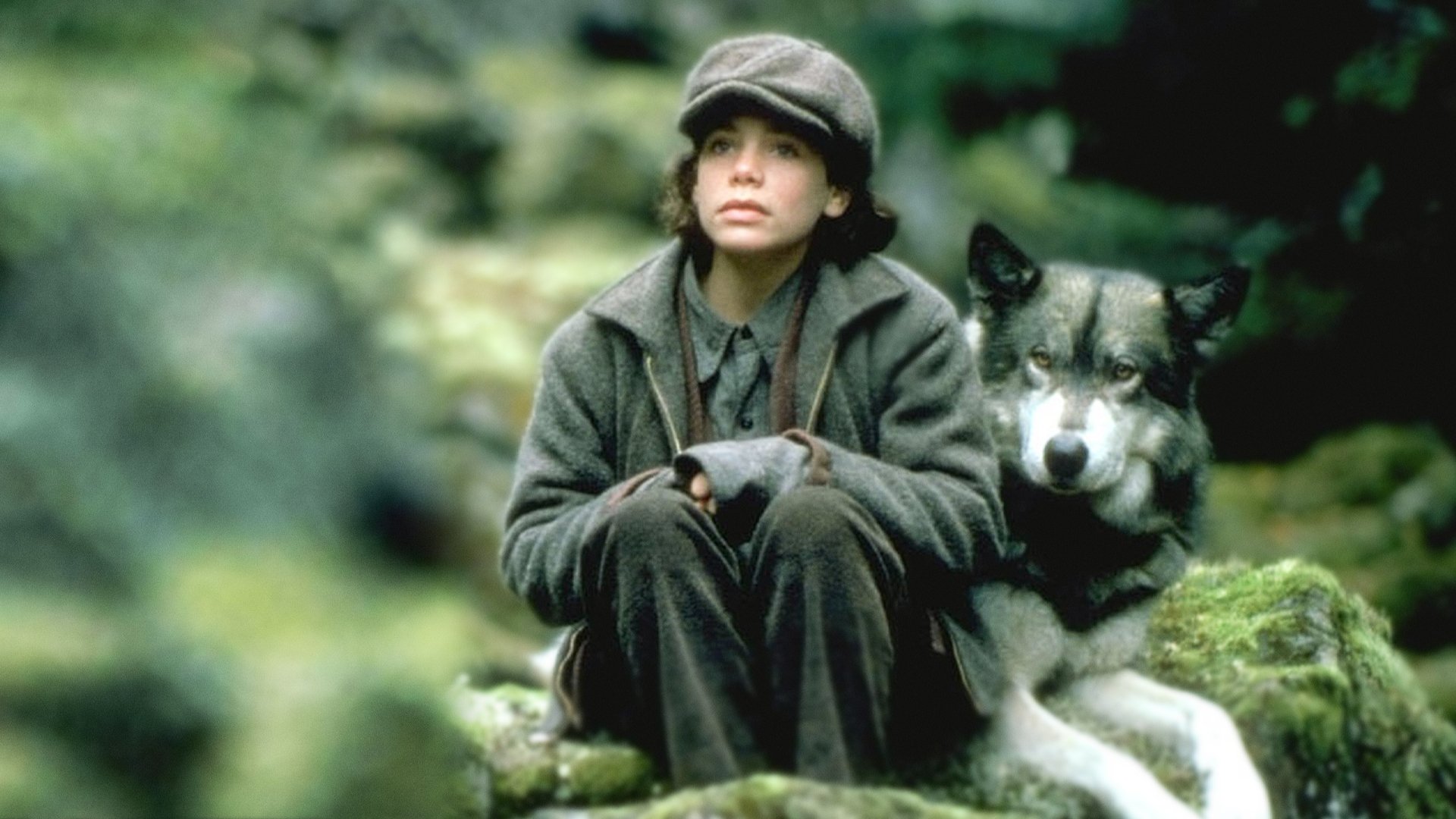 Image du film Natty Gann g3xk17we3wj2fpnra7wqoziufjljpg