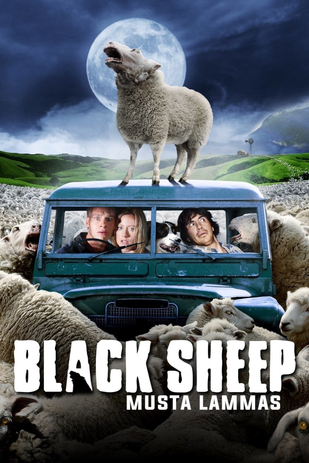 Black Sheep