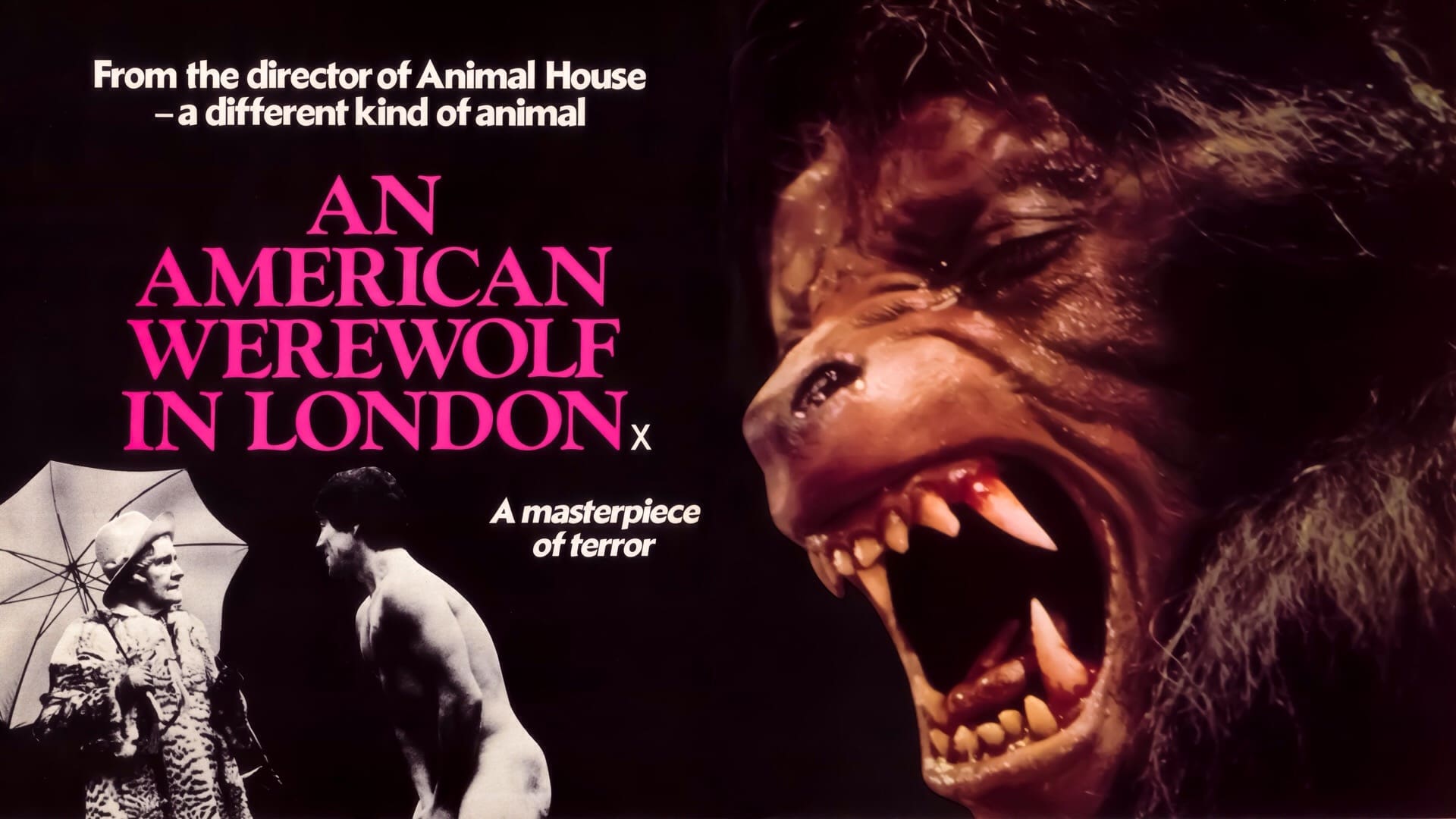 Le Loup-Garou de Londres (1981)