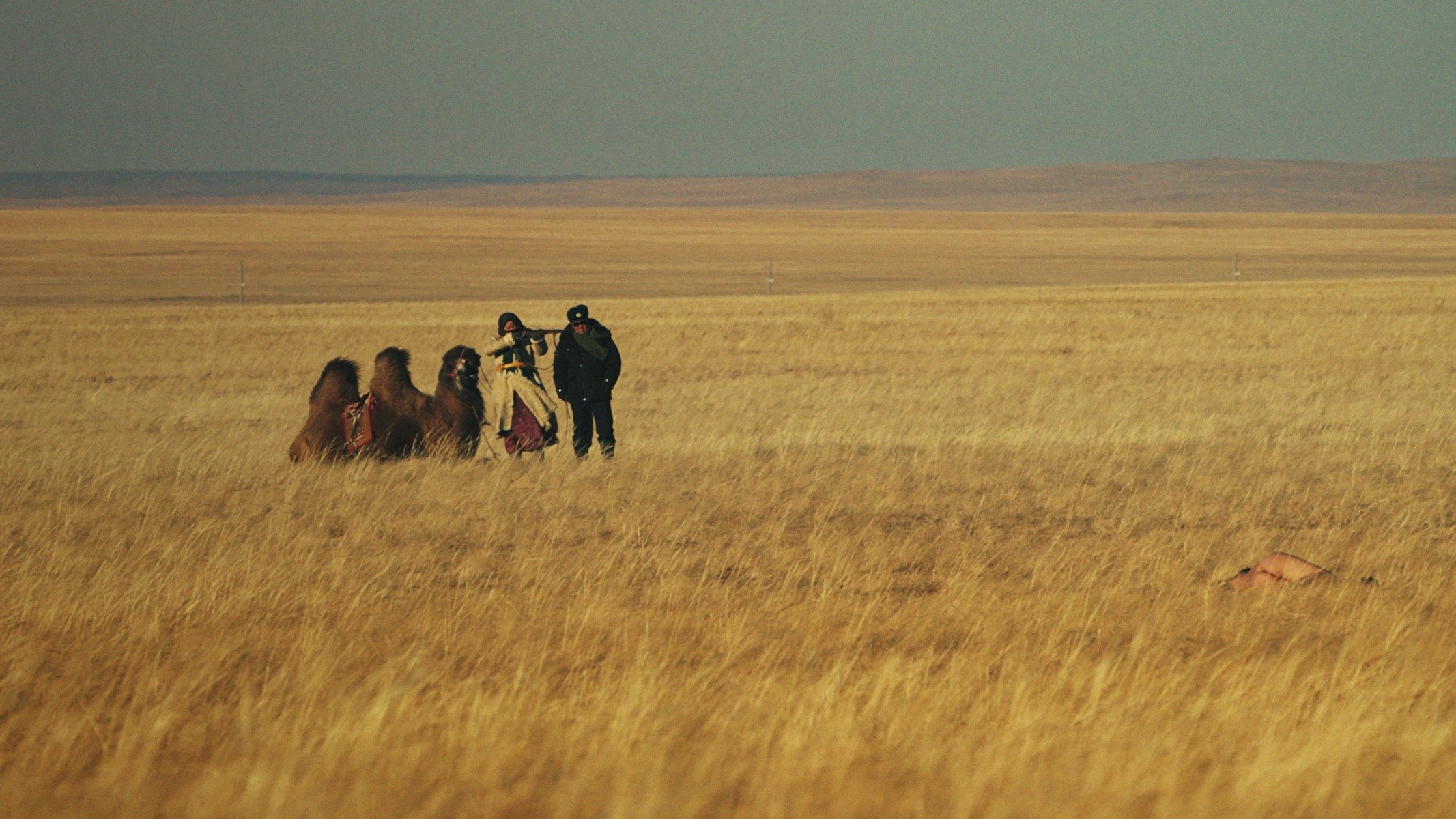 Image du film La Femme des steppes, le Flic et l'Oeuf g4pjkzq7wox36wmmmitnz5yyedsjpg