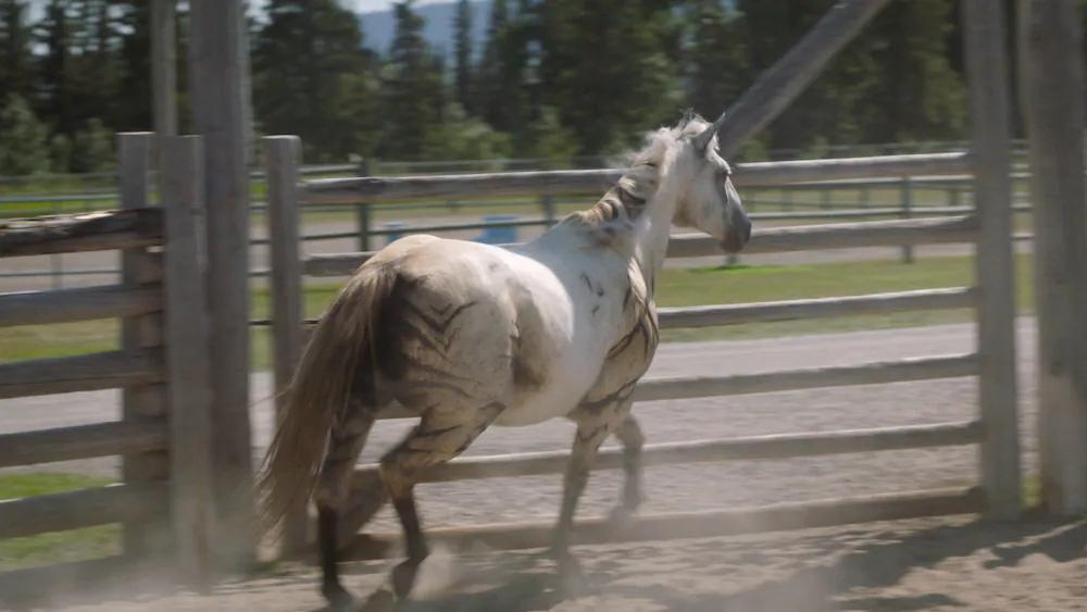 Heartland - Paradies für Pferde Staffel 16 :Folge 6 