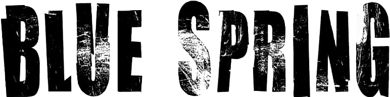 Blue Spring Logo