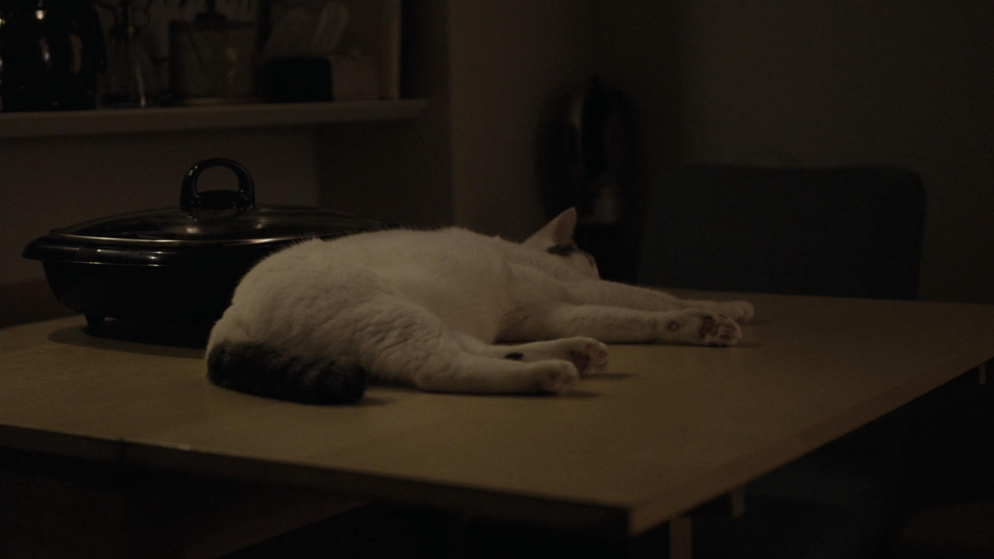 Asako I & II (2018)