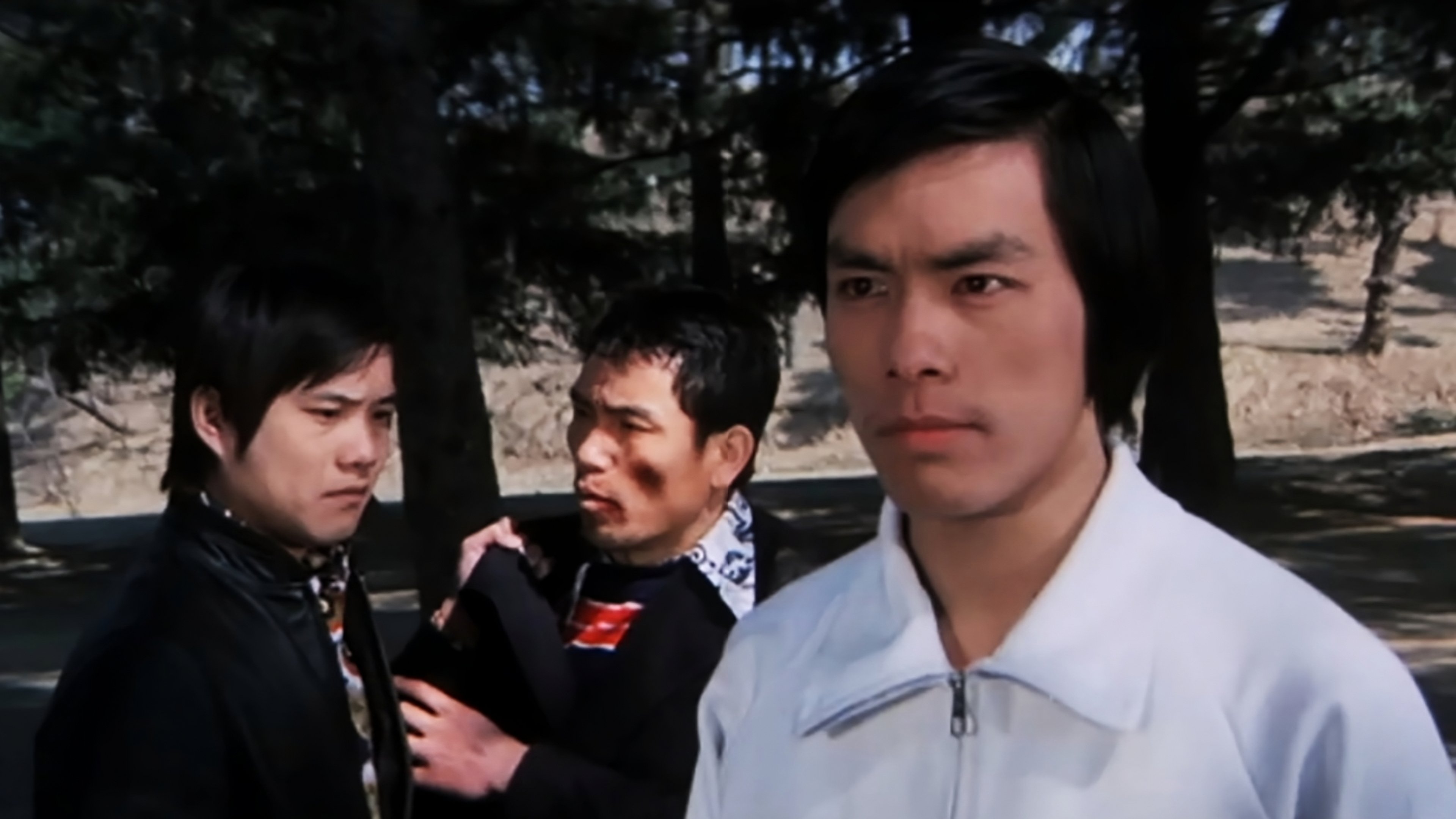 The Dragon Tamers (1975)