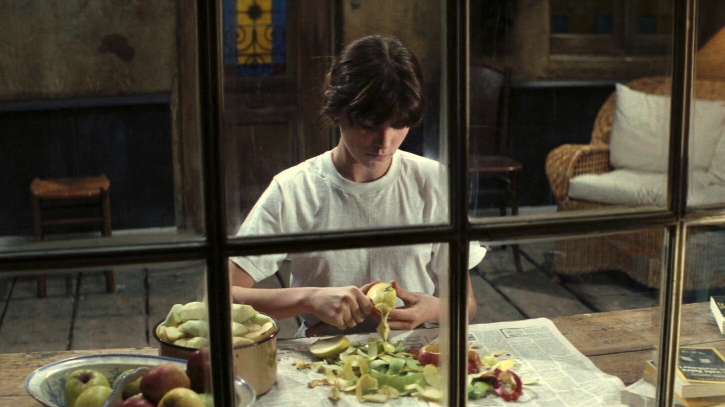 Beau Pere (1981)