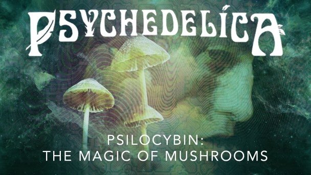 Thumbnail for Psilocybin: The Magic of Mushrooms Season 1 Episode 5