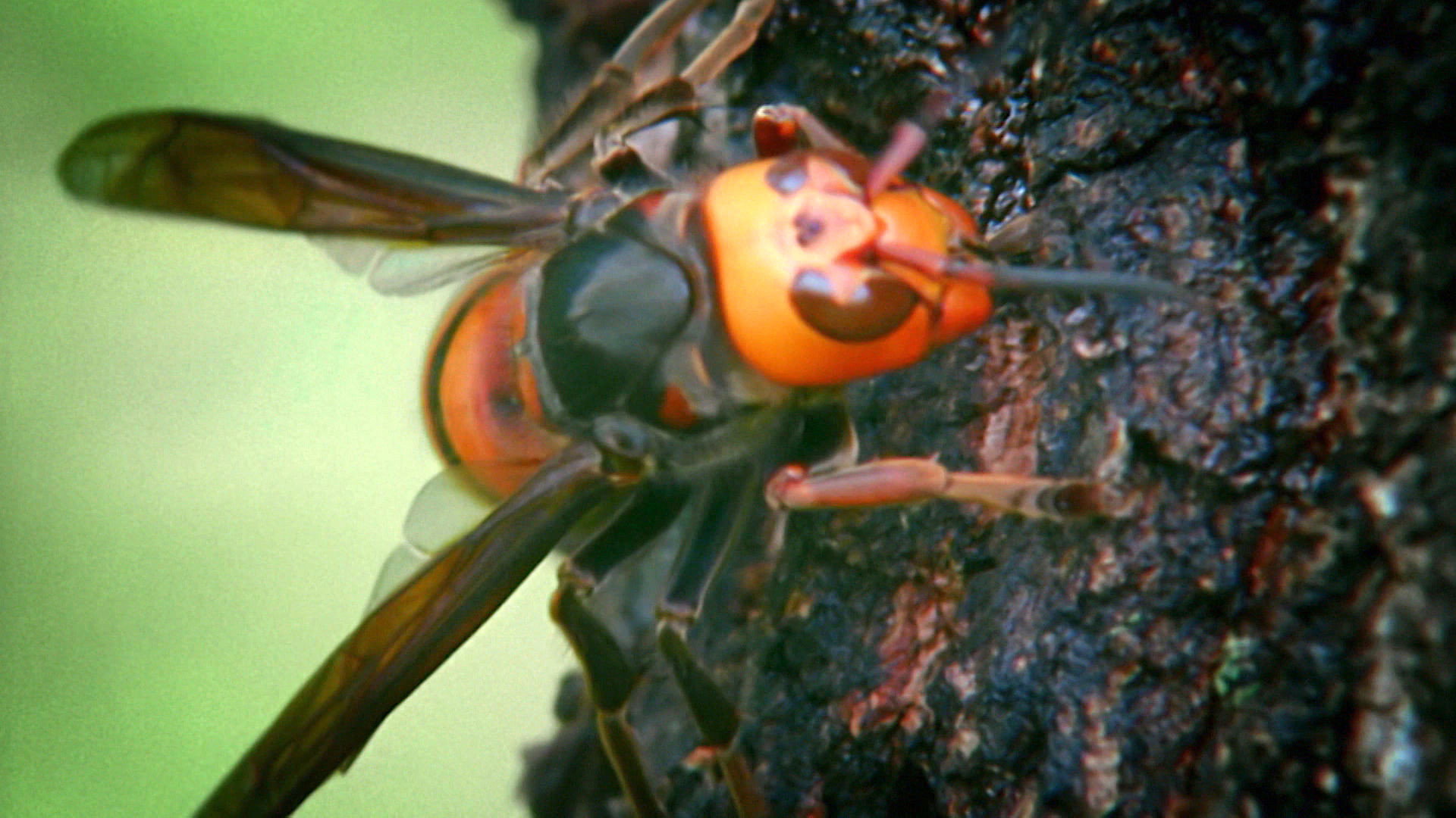 Earth Odyssey with Dylan Dreyer S02E35 backdrop
