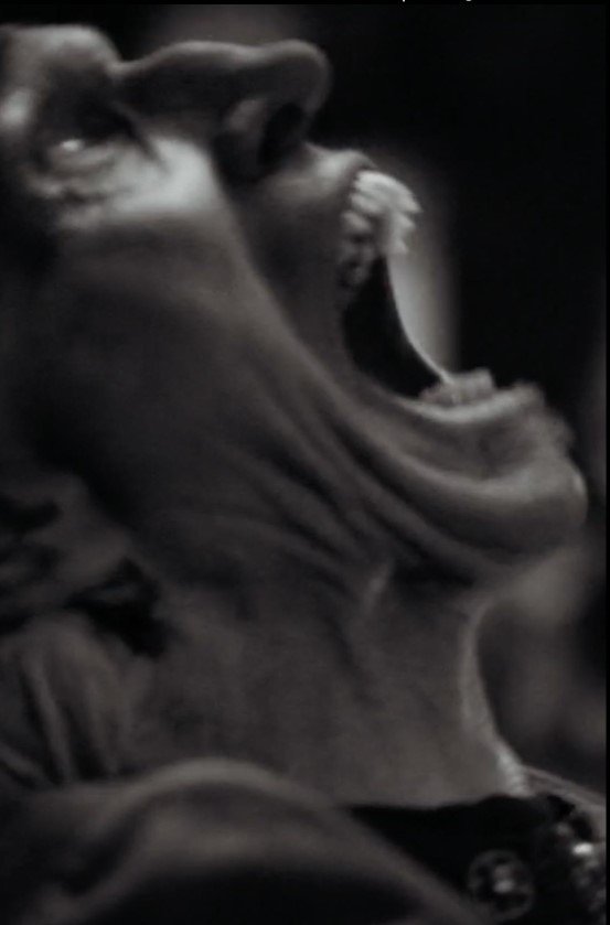 The Vampyre