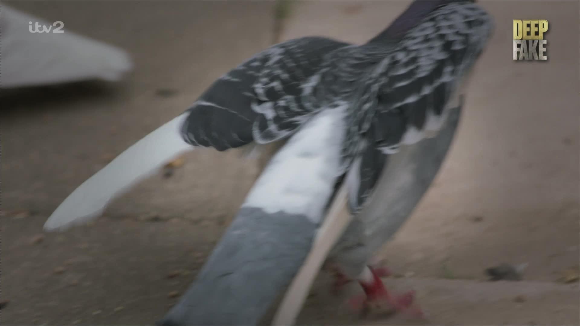 Episode 2