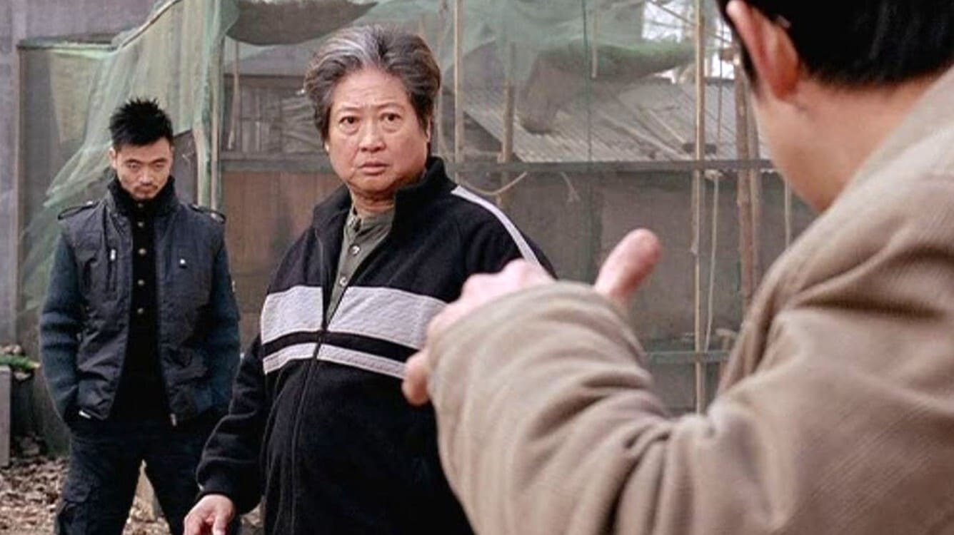 武术之少年行 (2008)