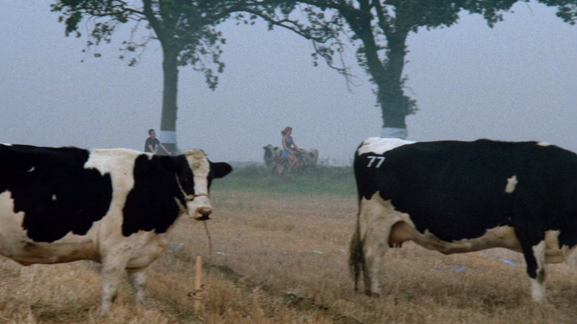 Drowning by Numbers (1988)