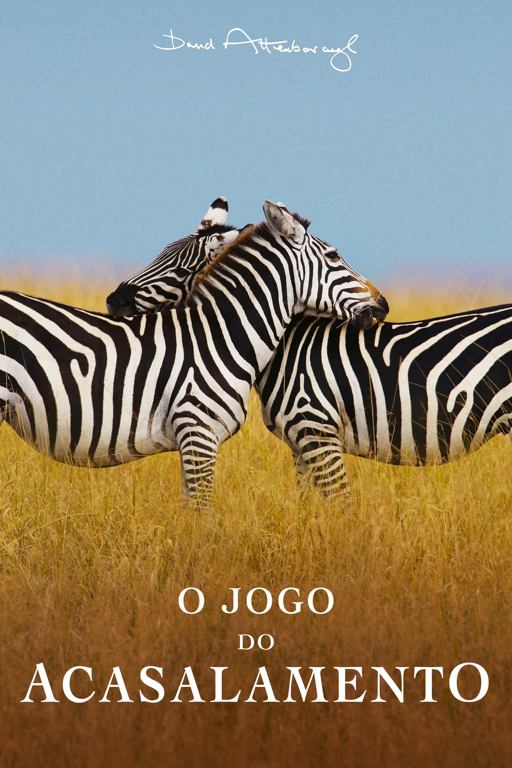 O Jogo do Acasalamento