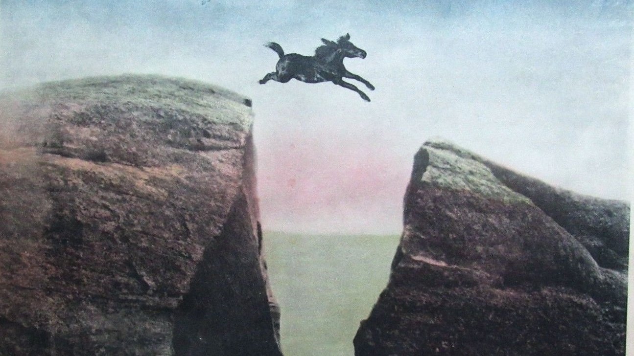 The King of the Wild Horses (1924)