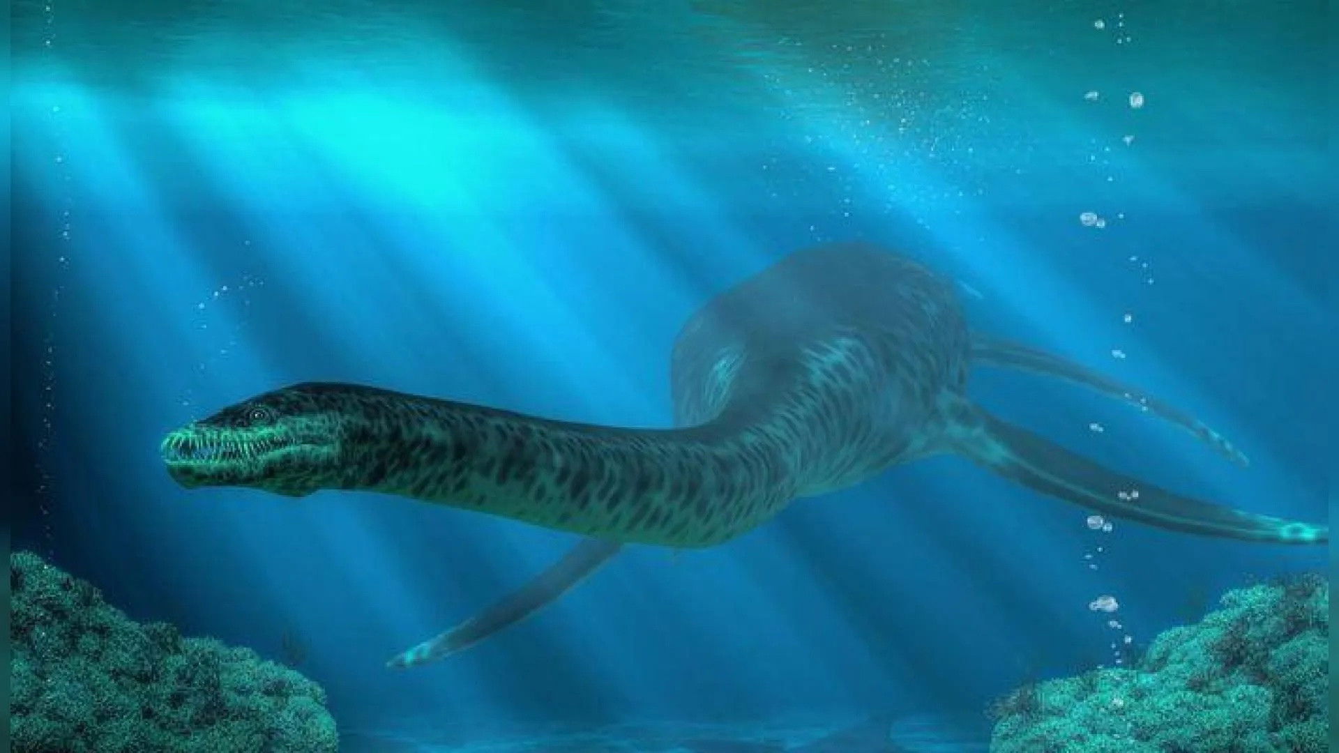 The Best of MonsterQuest backdrop