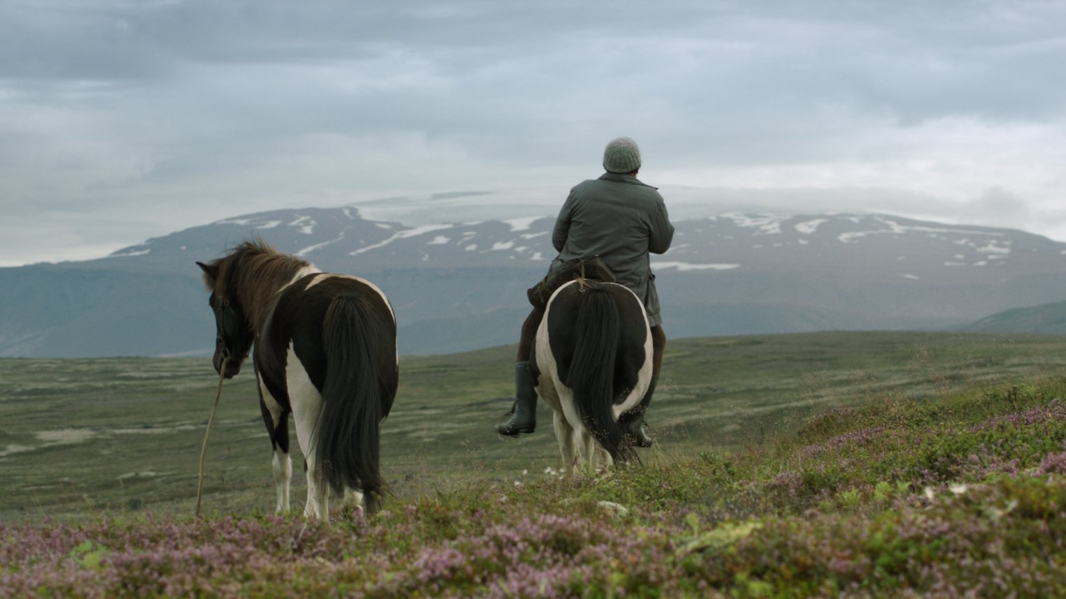 Hross í oss