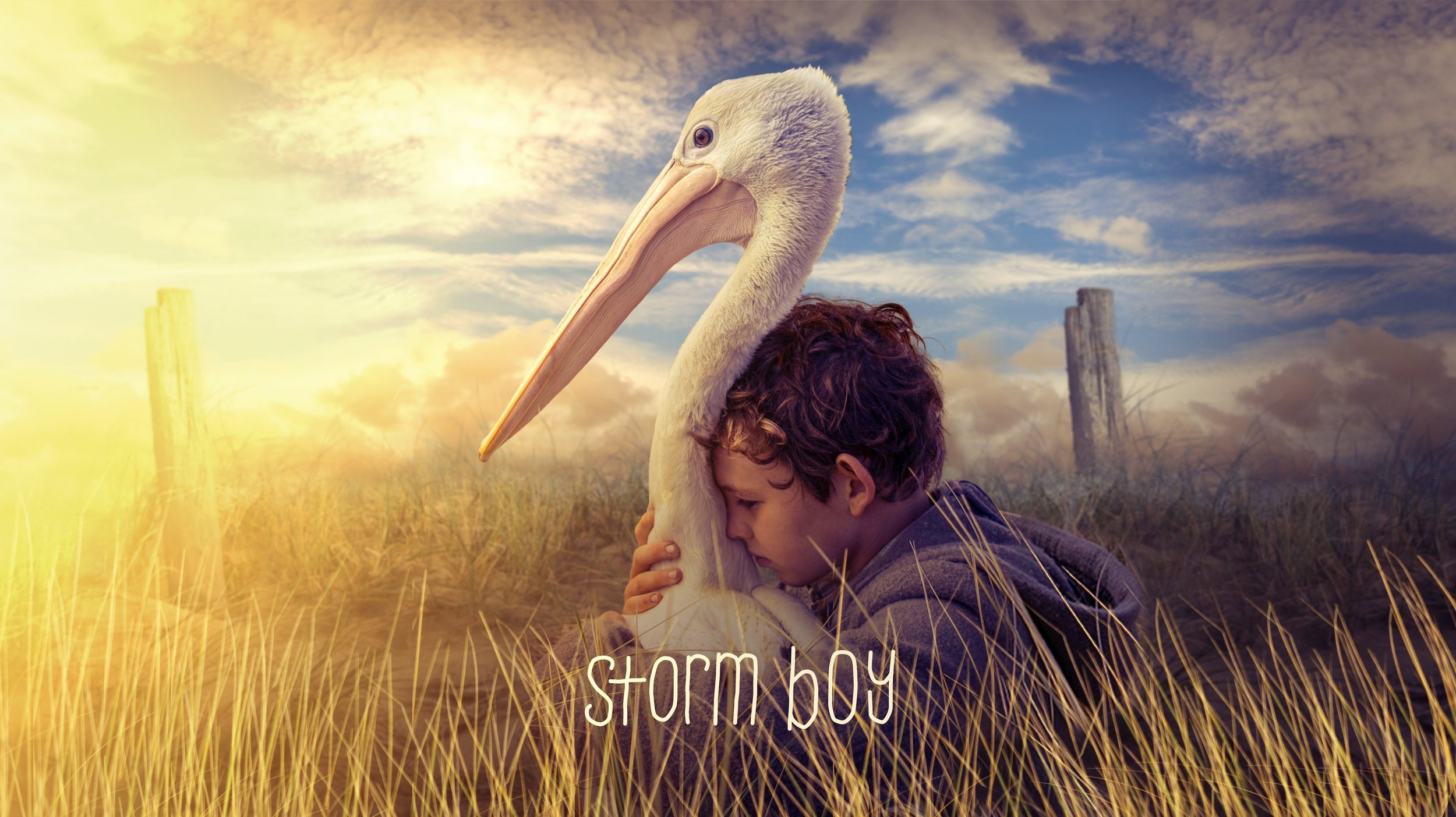 Storm Boy (2019)