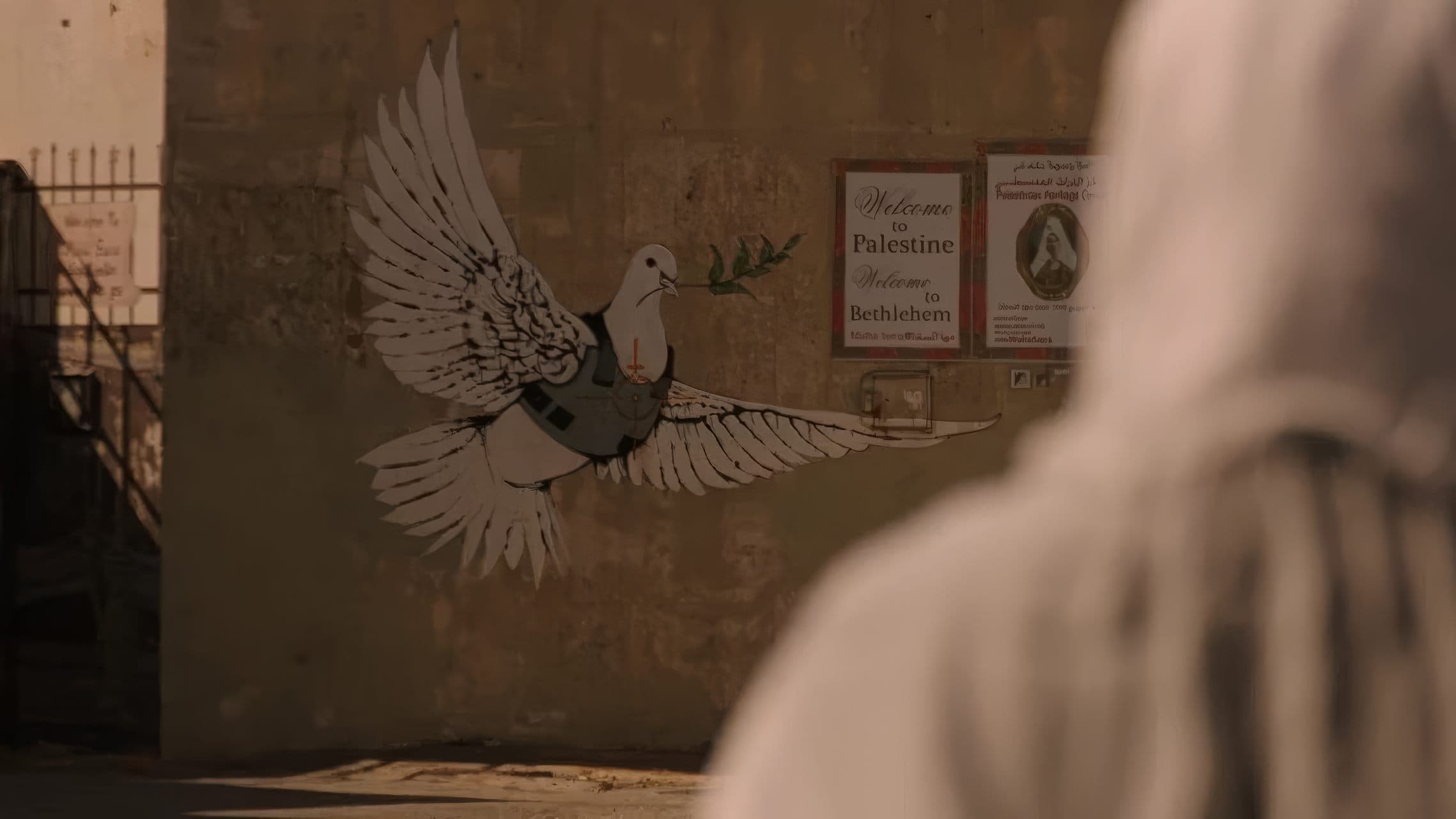 Where Olive Trees Weep (2024)