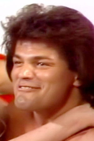 et billede af Bruce Stallion