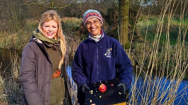 Countryfile 33x9