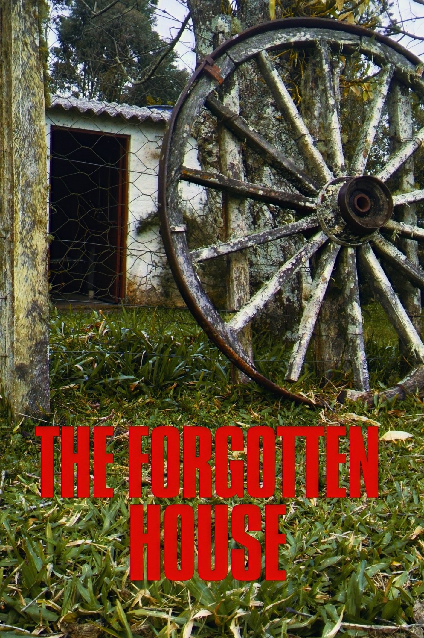 The Forgotten House