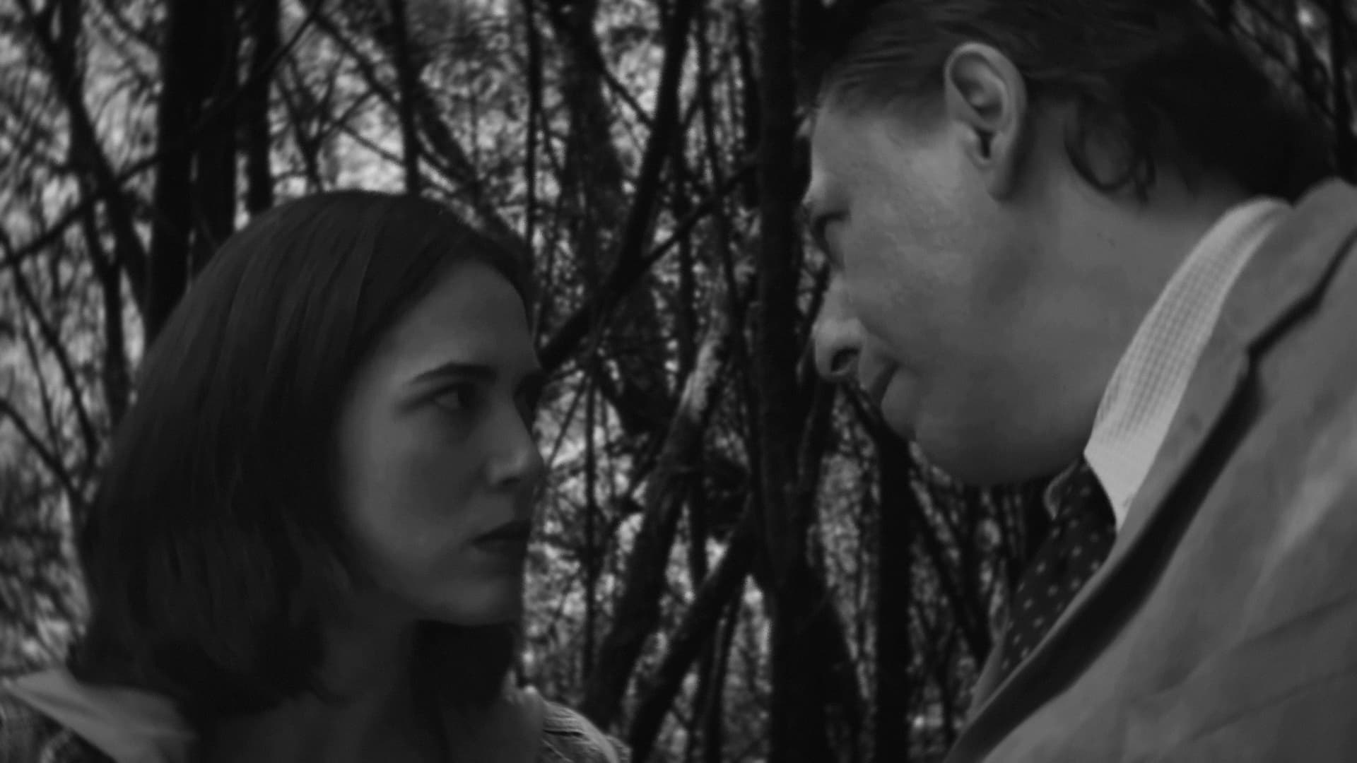 Spells and Magicians Chapter Five: The Miracle of Deforestation (2015)