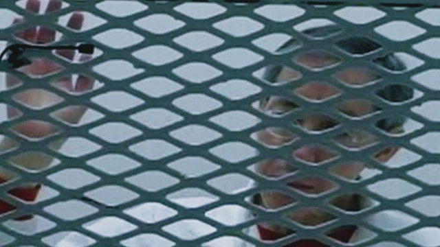 Secrets of Polygamy S01E02 backdrop