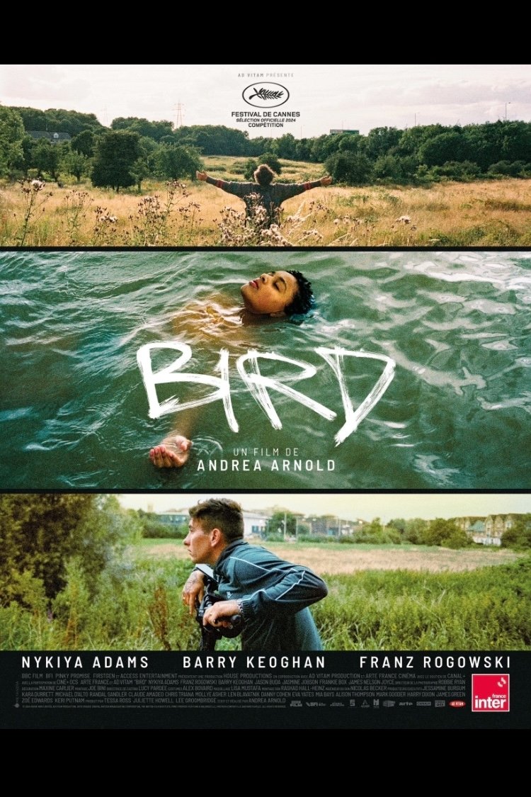 BIRD (2024)