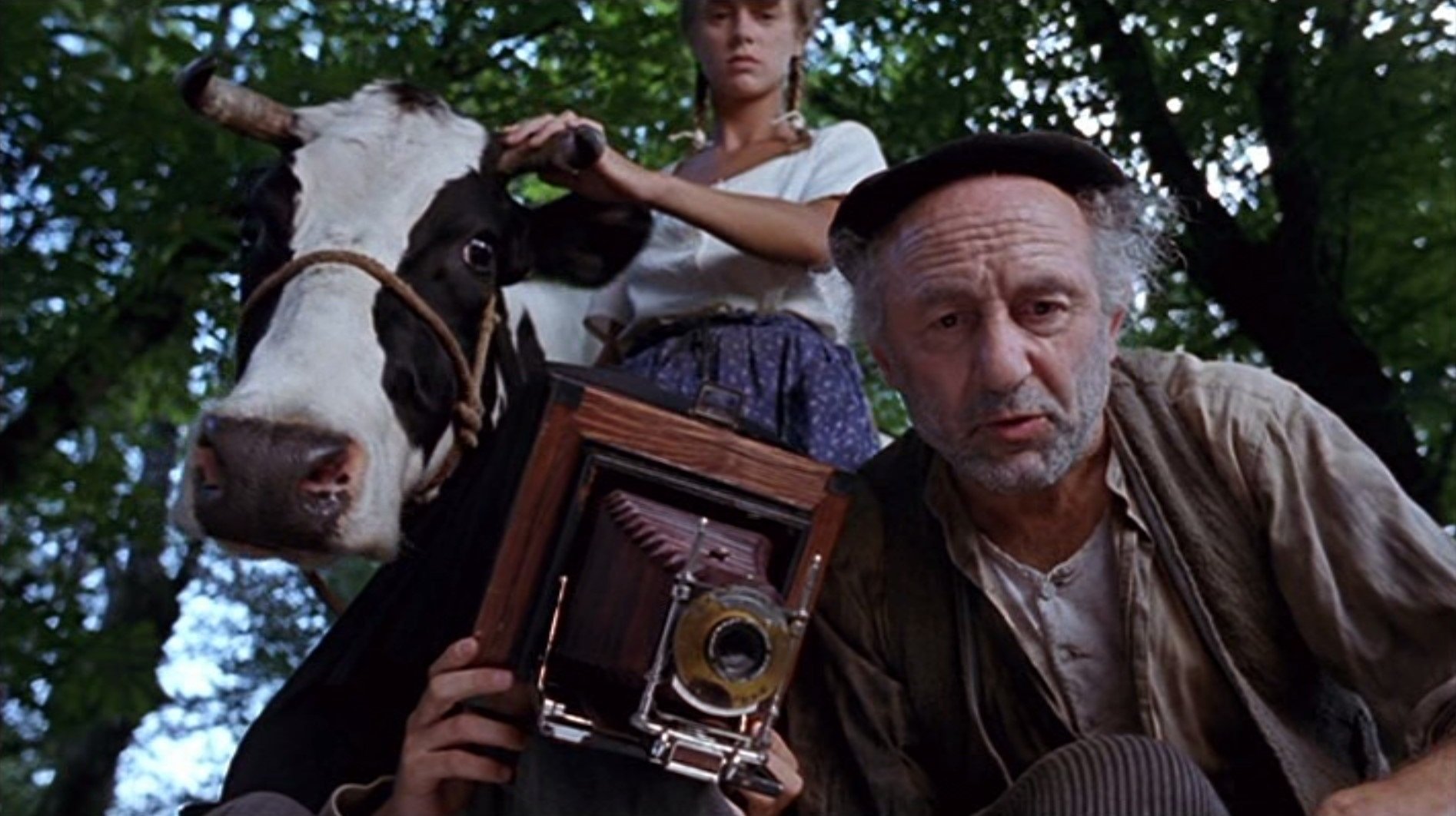 Cows (1992)