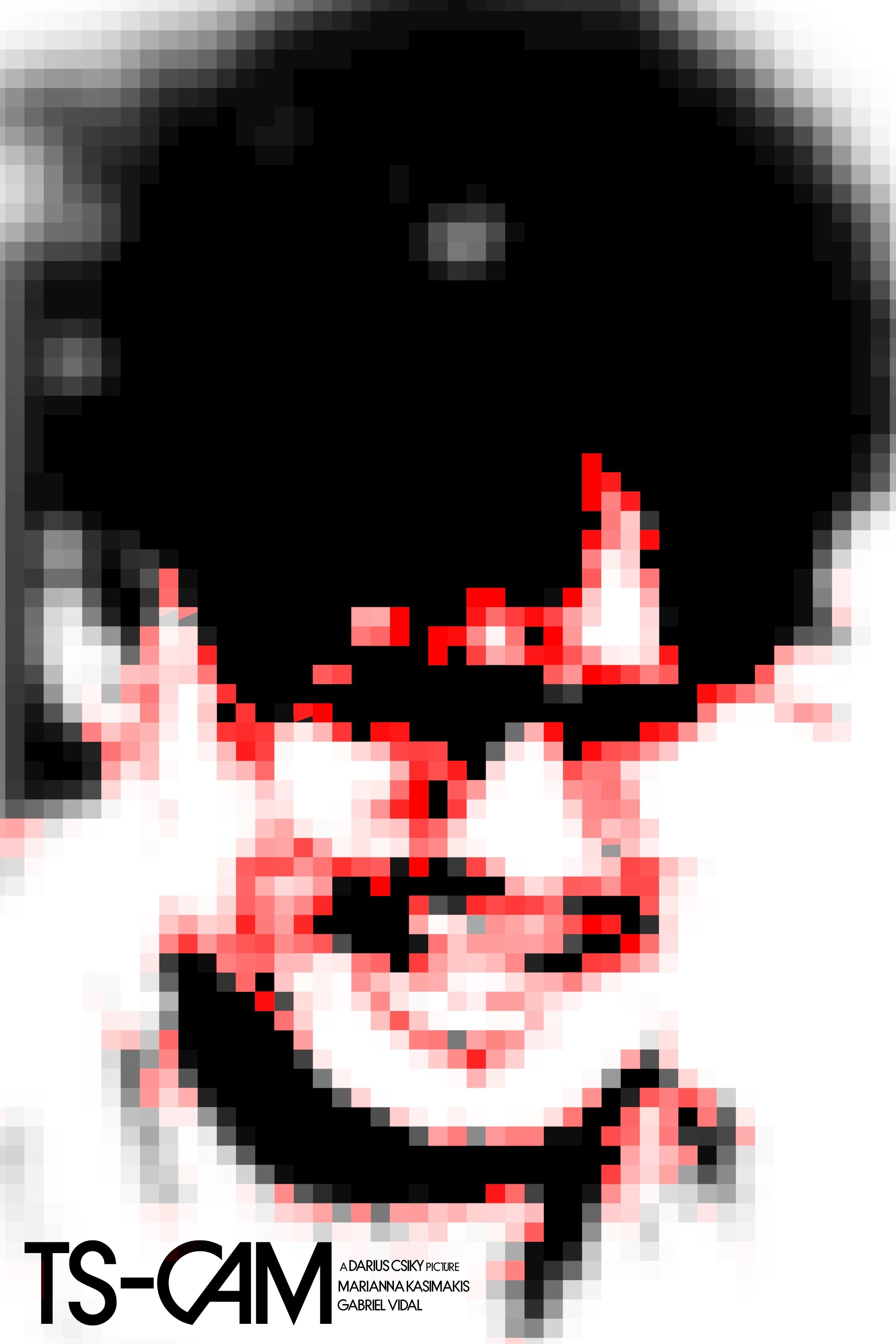 TS-CAM