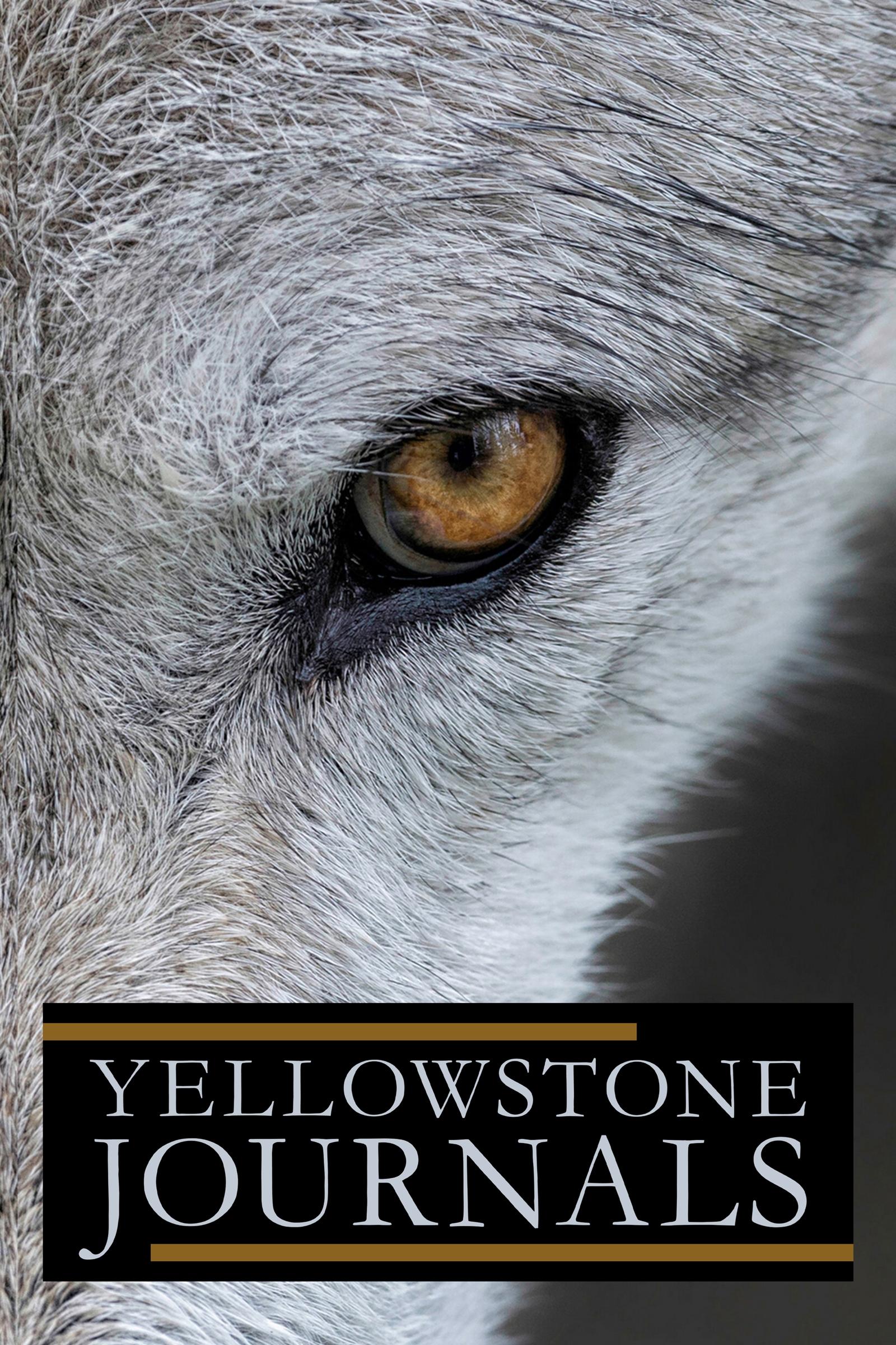 Yellowstone Journals Season 1