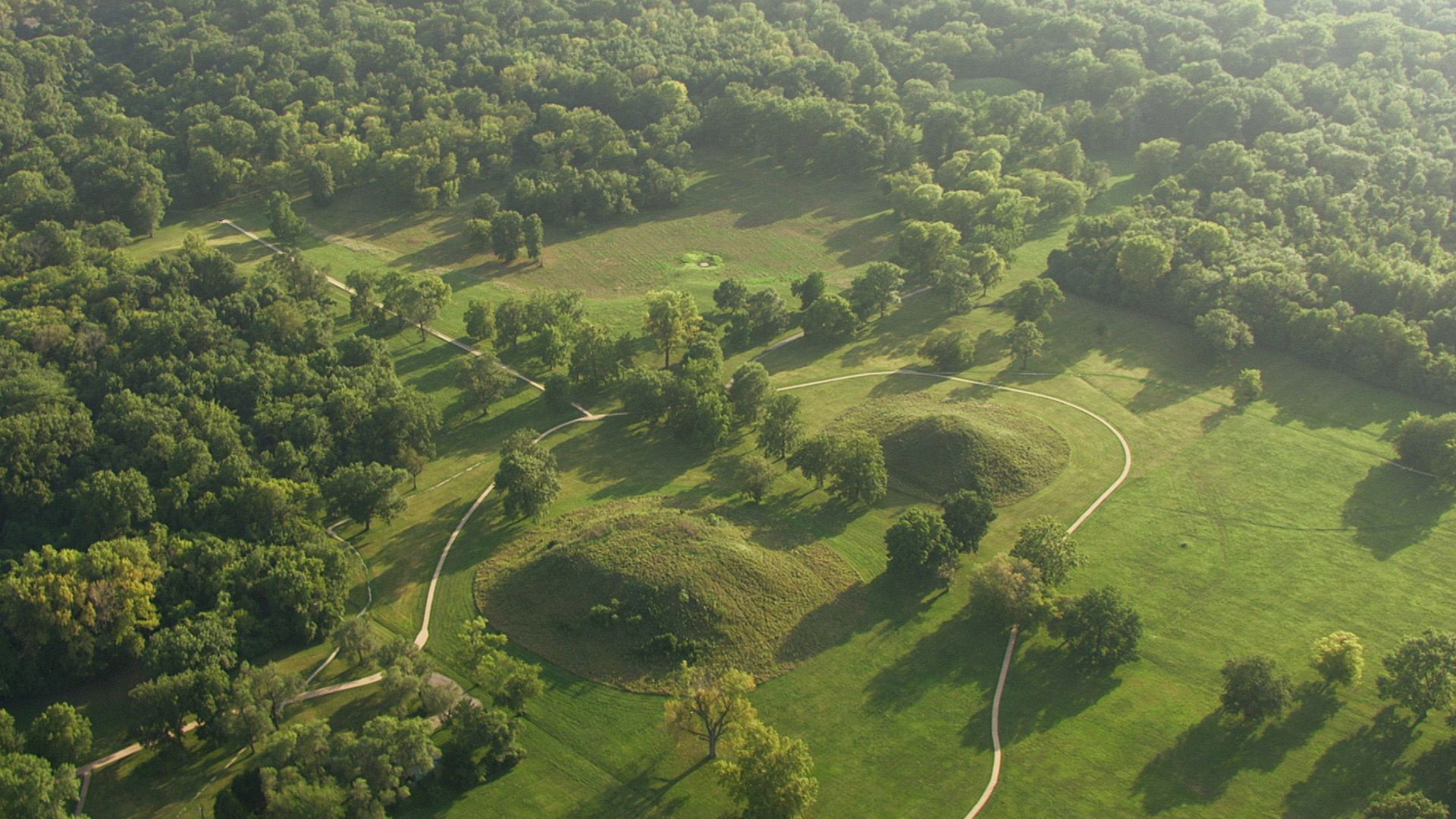 Aerial Adventures S01E12 backdrop