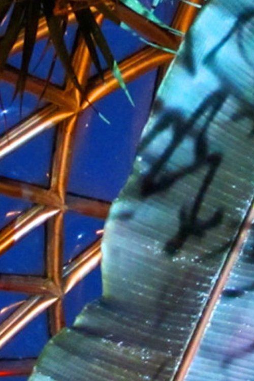 Movie Title