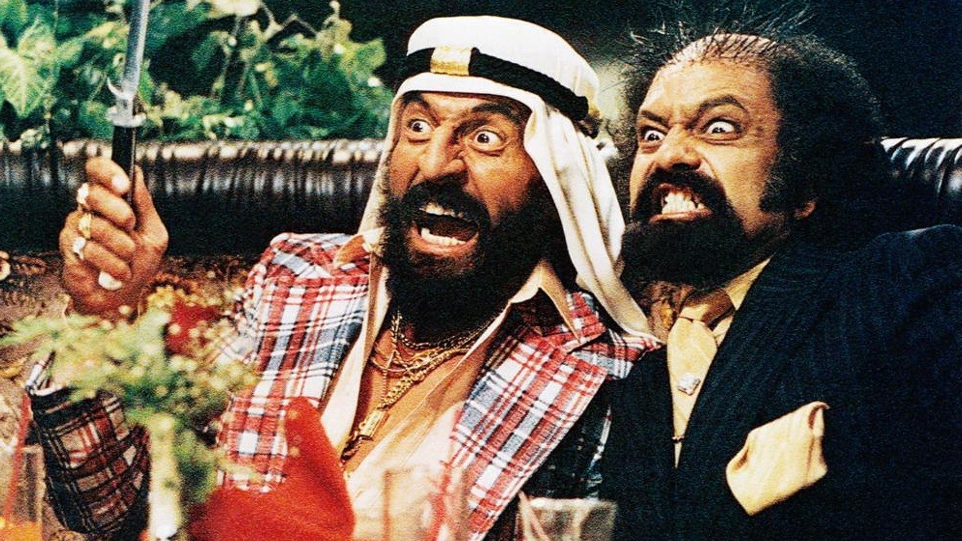 Cheech & Chong: Hampen brænder (1982)