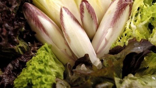 Thumbnail for Episode 28 Season 1 Episode 28