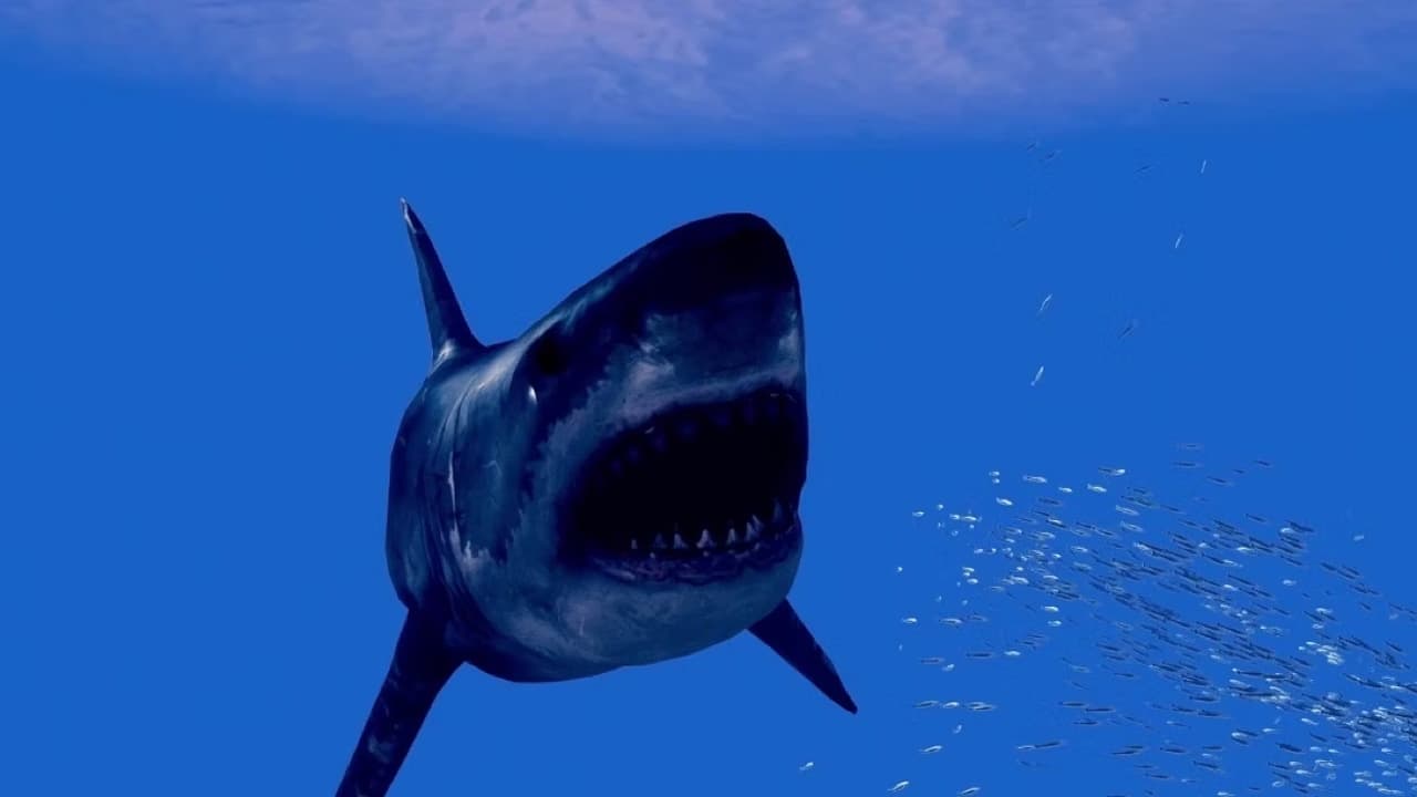 Noah’s Shark (2021)
