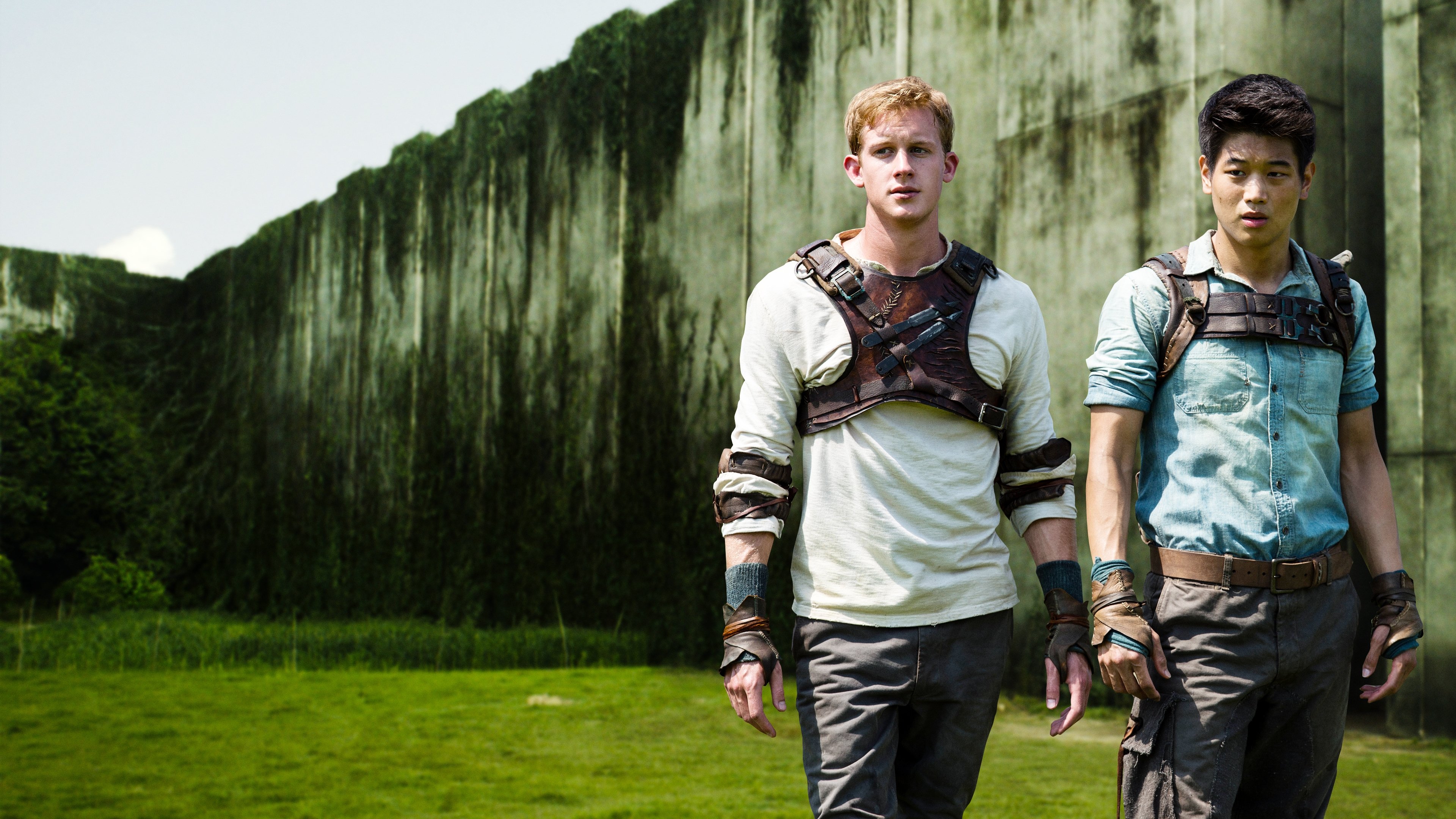 Maze Runner - Il labirinto